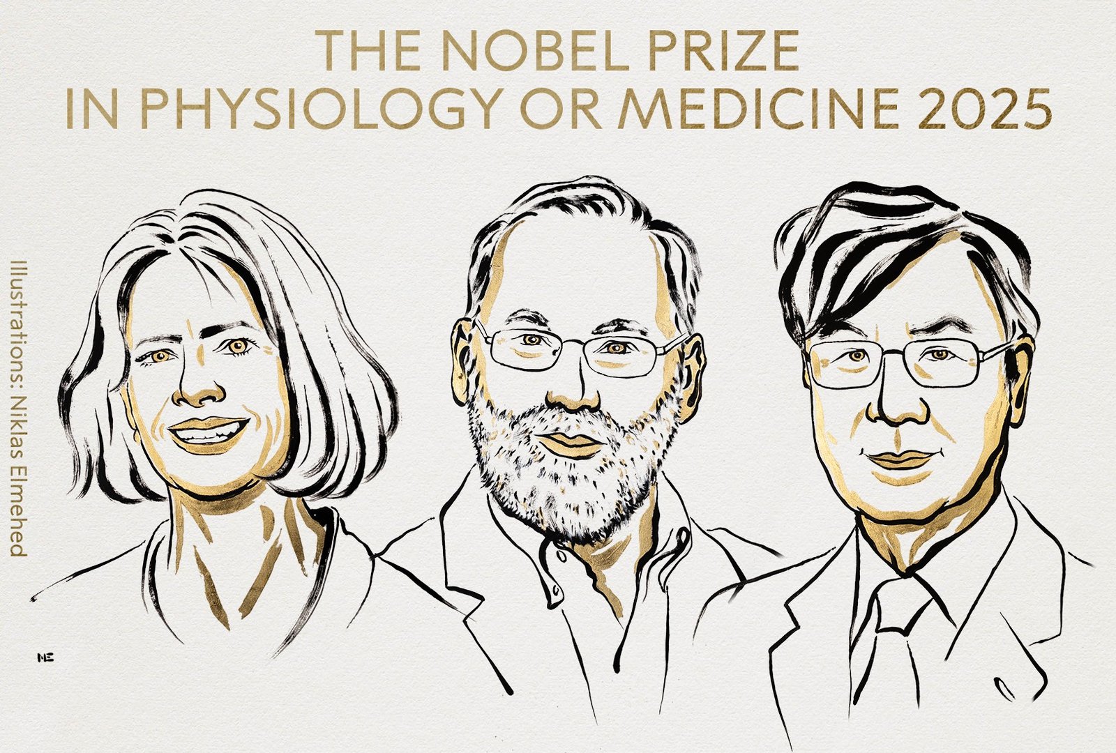 Premio Nobel de Medicina 2025 para Mary Brunkow, Fred Ramsdell y Shimon Sakaguchi por identificar a los “guardias de seguridad del sistema inmunológico”